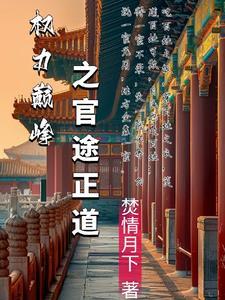 权利巅峰之官途狂飙